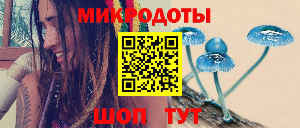 Псилоцибиновые грибы GOLDEN TEACHER Вологда