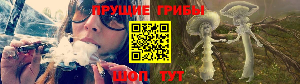 Вологда  Псилоцибиновые грибы Cubensis  Вход с VPN  Галлюциногенные грибы Psilocybine cubensis 